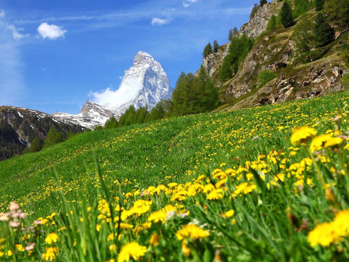 Apartment Monazit Zermatt Exterior foto